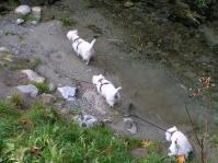 Klik op de foto voor groter formaat